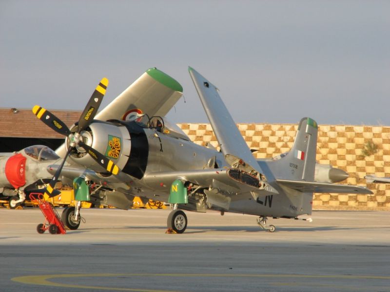 20100807191320_ftpj_10.jpg